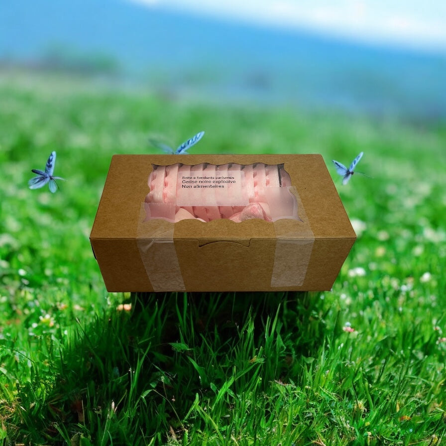 Boîte à fondants parfumés