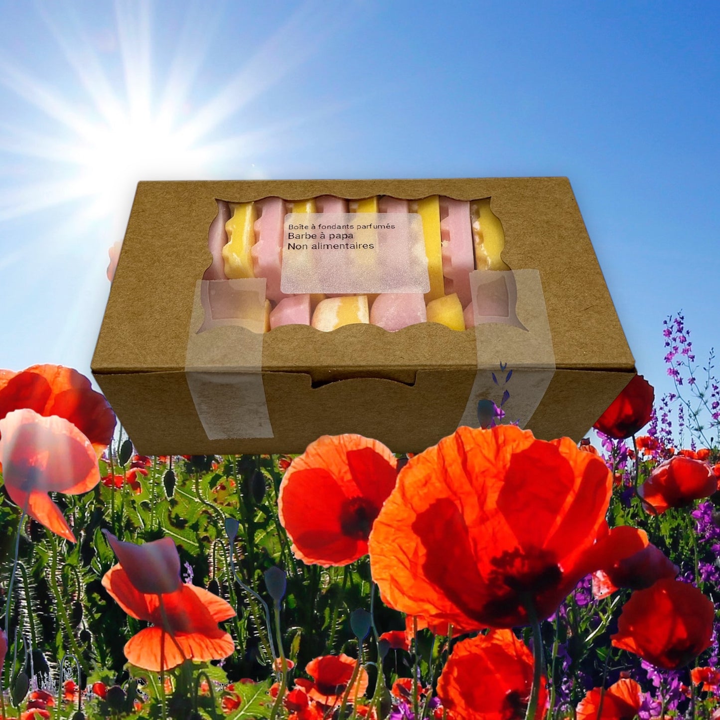 Boîte à fondants parfumés