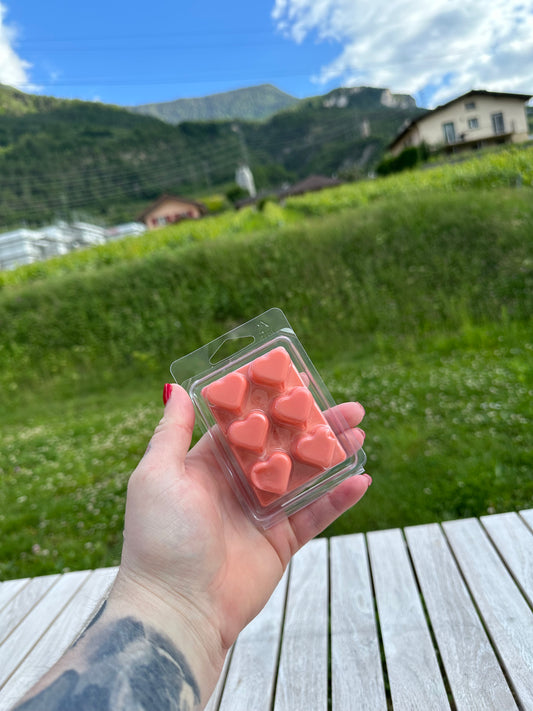Fondants parfumés odeur Biscuit sablé